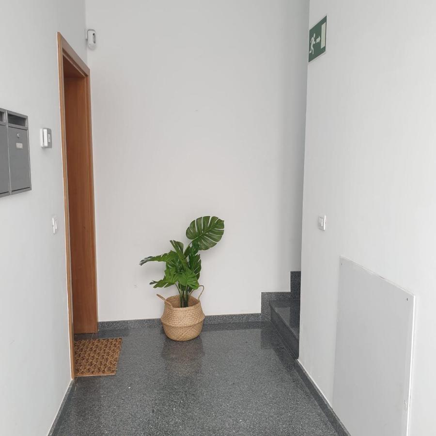 City Suite Λας Πάλμας ντε Γκραν Κανάρια Εξωτερικό φωτογραφία